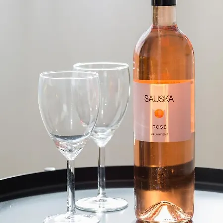 公寓式酒店 Pauzo Balaton